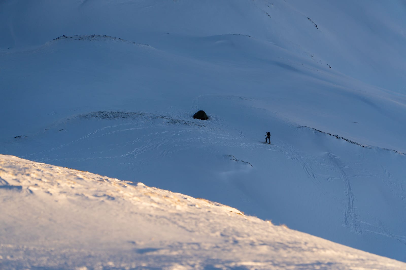 Skis stood upright in deep snow on a mountain.